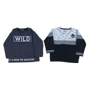 Milon Boys Size 3T Set Of 2 Pullover Sweatshirts Wild Adventure Teddy